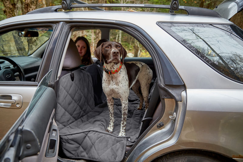 Orvis dog shop car hammock